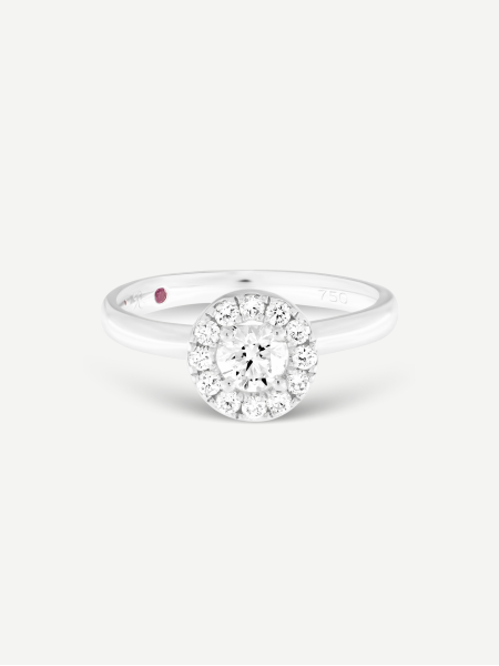 Diamond Ring – White Gold
